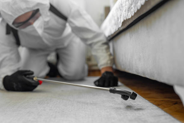 Professional Termite Control technician working in Lake Arrowhead, ME