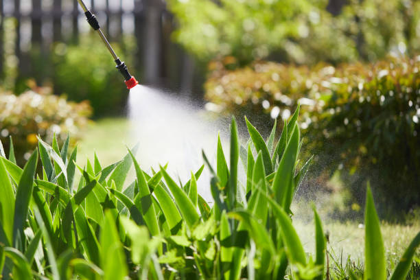 24/7 Emergency Termite Control experts in Lake Arrowhead, ME