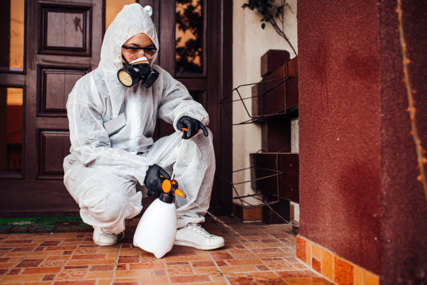 Reliable Termite Control contractor in Lake Arrowhead, ME by Nex Pest Control