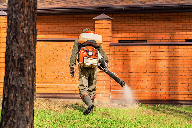 Top rated local Termite Control specialists in Lake Arrowhead, ME